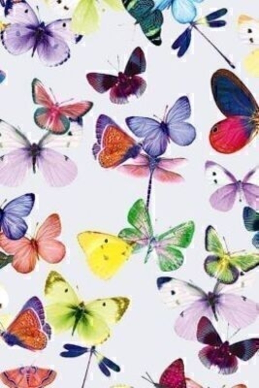 Multicoloured Butterfly Design Roll Wrap Mariposa White by Stewo. Holo rainbow paper. 72gsm. Size 70cm x 1.5m.